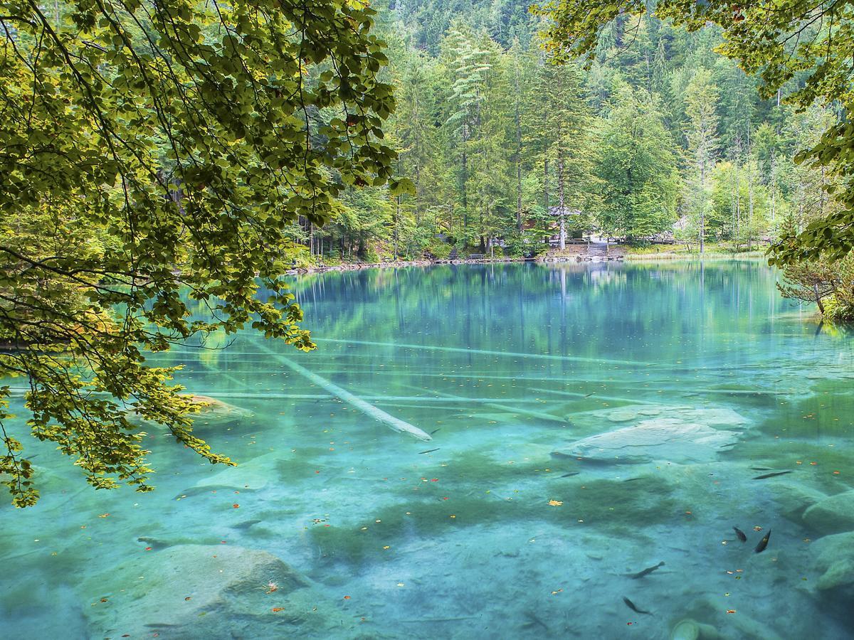 Hotel & Spa Blausee Dış mekan fotoğraf